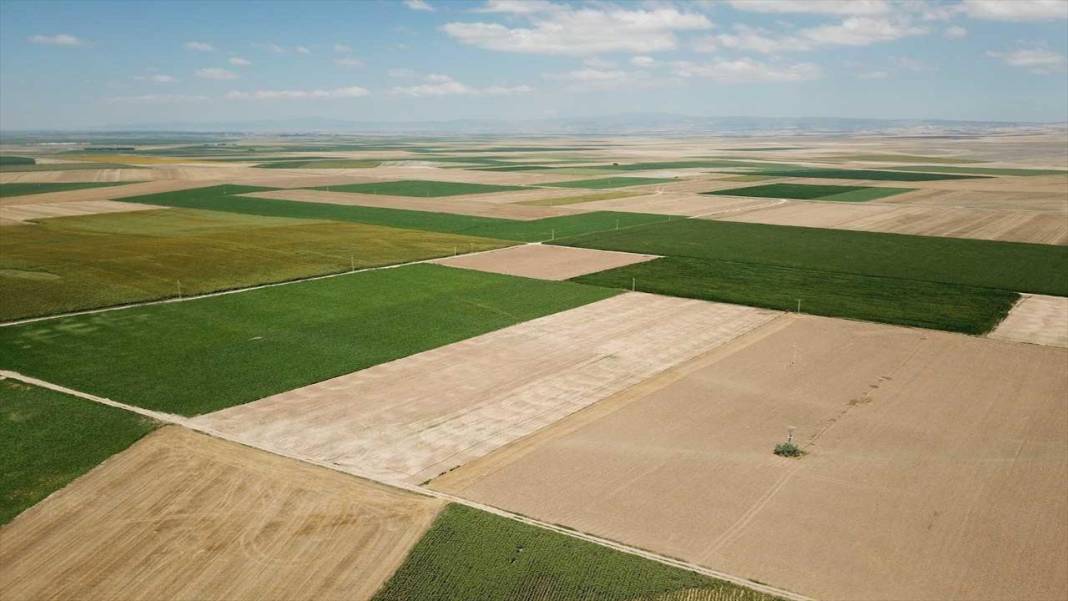 Yabancılar gözünü o ilimize dikti: Kapış kapış satın alıyorlar 4